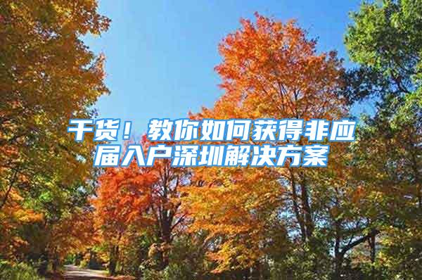 干货！教你如何获得非应届入户深圳解决方案