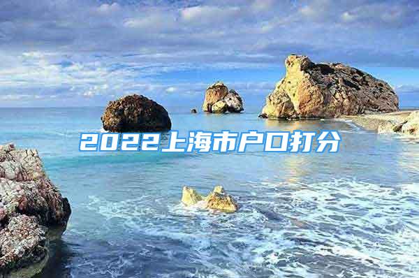 2022上海市户口打分