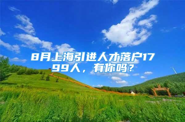 8月上海引进人才落户1799人，有你吗？