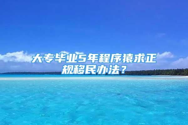 大专毕业5年程序猿求正规移民办法？