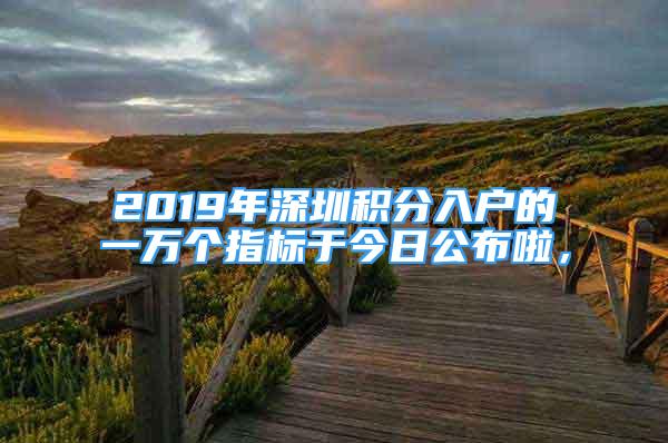 2019年深圳积分入户的一万个指标于今日公布啦，