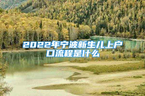 2022年宁波新生儿上户口流程是什么