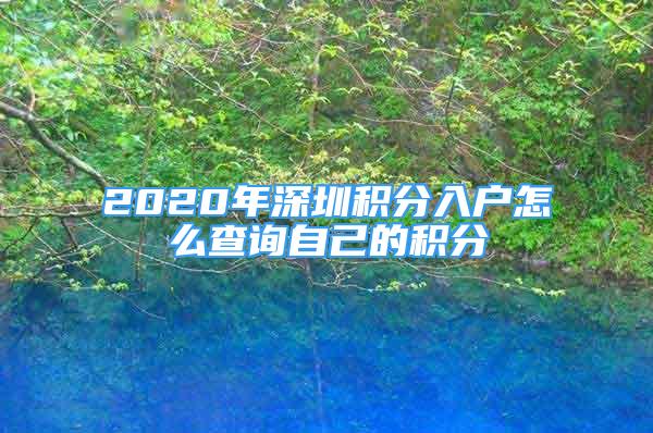 2020年深圳积分入户怎么查询自己的积分