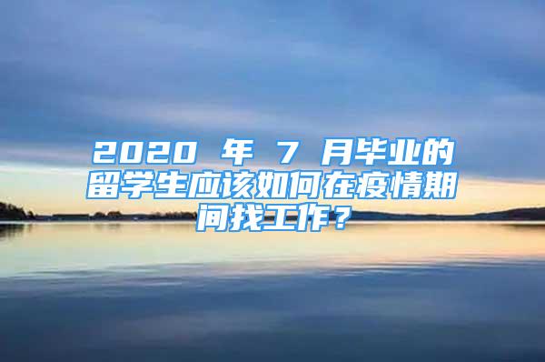 2020 年 7 月毕业的留学生应该如何在疫情期间找工作？