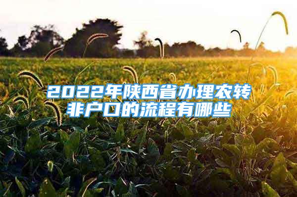 2022年陕西省办理农转非户口的流程有哪些