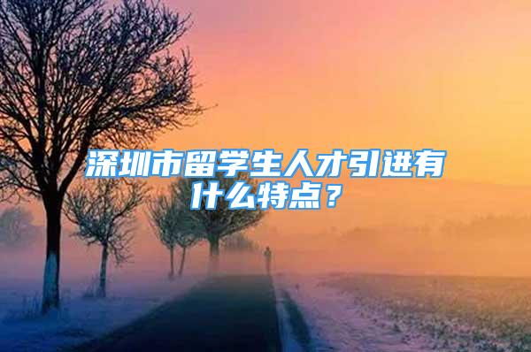 深圳市留学生人才引进有什么特点？