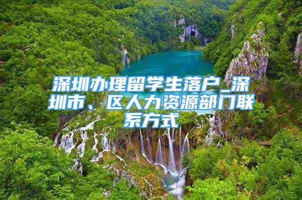 深圳办理留学生落户_深圳市、区人力资源部门联系方式