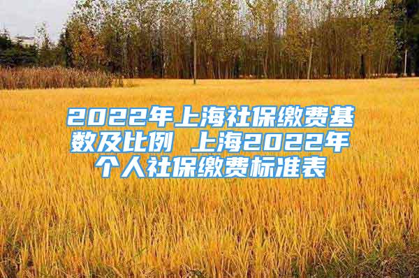 2022年上海社保缴费基数及比例 上海2022年个人社保缴费标准表