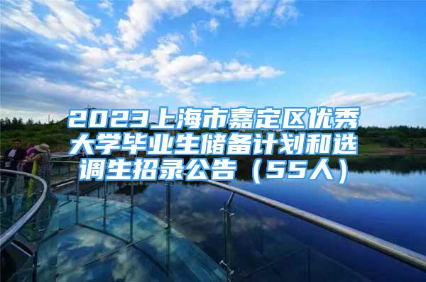 2023上海市嘉定区优秀大学毕业生储备计划和选调生招录公告（55人）