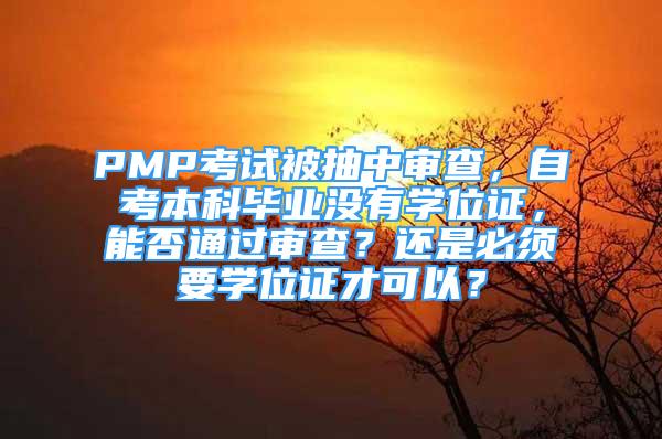 PMP考试被抽中审查，自考本科毕业没有学位证，能否通过审查？还是必须要学位证才可以？