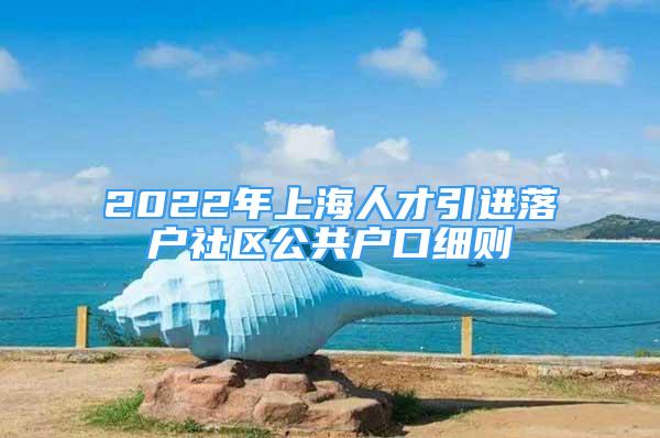 2022年上海人才引进落户社区公共户口细则