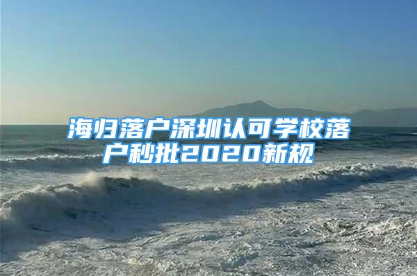 海归落户深圳认可学校落户秒批2020新规