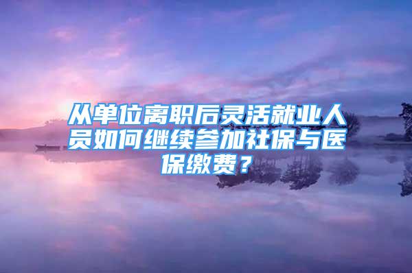 从单位离职后灵活就业人员如何继续参加社保与医保缴费？