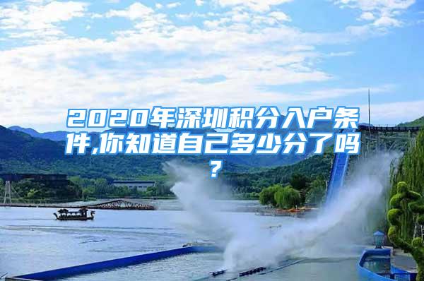 2020年深圳积分入户条件,你知道自己多少分了吗？