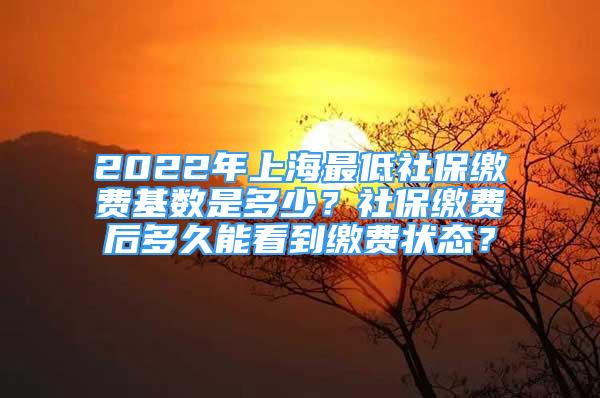 2022年上海最低社保缴费基数是多少？社保缴费后多久能看到缴费状态？