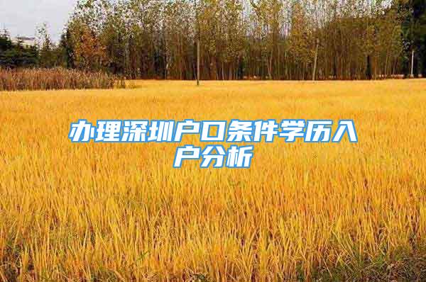 办理深圳户口条件学历入户分析