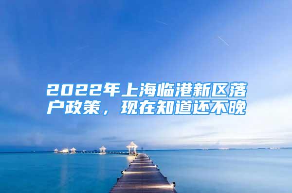 2022年上海临港新区落户政策，现在知道还不晚