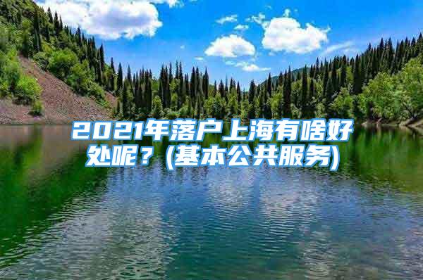 2021年落户上海有啥好处呢？(基本公共服务)