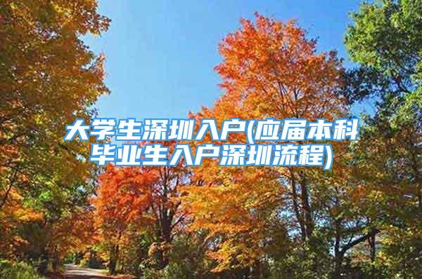 大学生深圳入户(应届本科毕业生入户深圳流程)