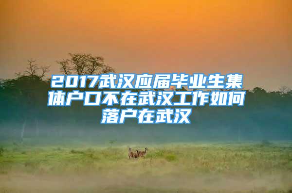 2017武汉应届毕业生集体户口不在武汉工作如何落户在武汉