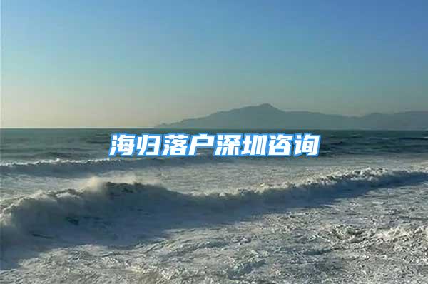 海归落户深圳咨询