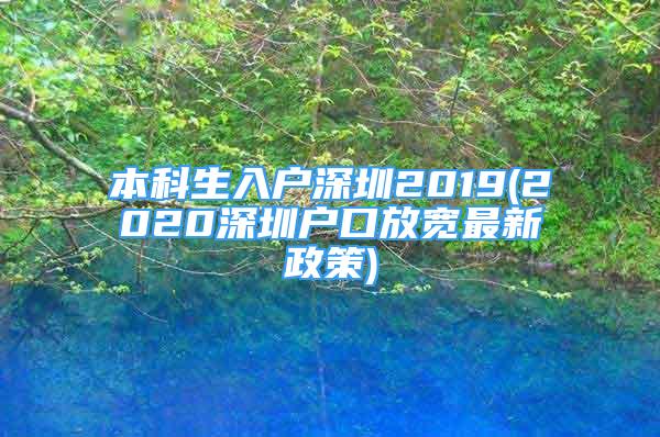 本科生入户深圳2019(2020深圳户口放宽最新政策)