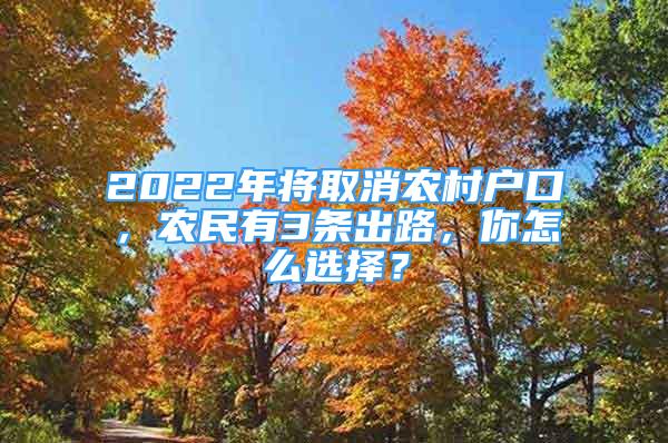 2022年将取消农村户口，农民有3条出路，你怎么选择？