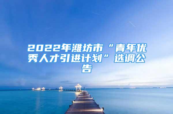 2022年潍坊市“青年优秀人才引进计划”选调公告