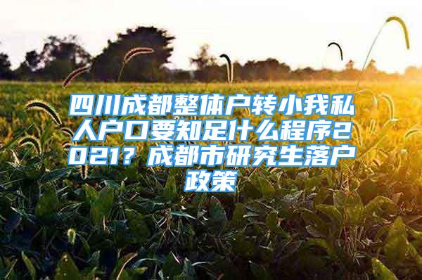 四川成都整体户转小我私人户口要知足什么程序2021？成都市研究生落户政策