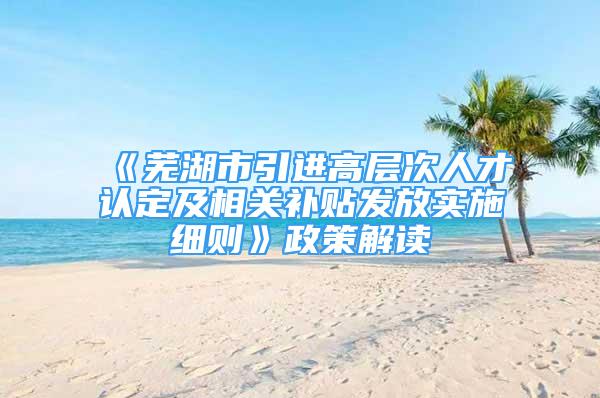 《芜湖市引进高层次人才认定及相关补贴发放实施细则》政策解读