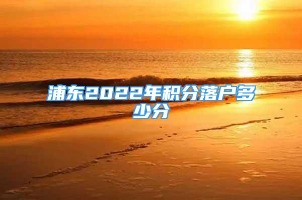 浦东2022年积分落户多少分