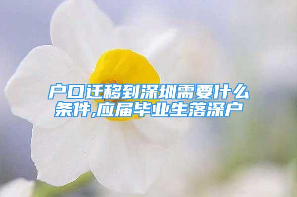 户口迁移到深圳需要什么条件,应届毕业生落深户