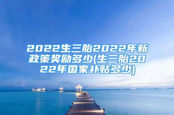 2022生三胎2022年新政策奖励多少(生三胎2022年国家补贴多少)