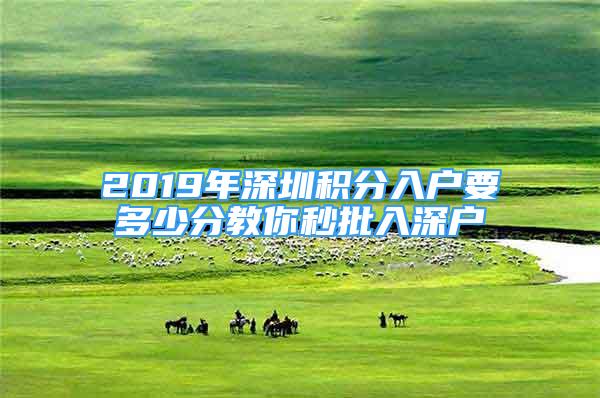 2019年深圳积分入户要多少分教你秒批入深户