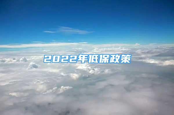 2022年低保政策