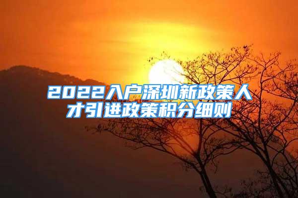 2022入户深圳新政策人才引进政策积分细则