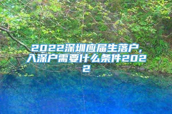 2022深圳应届生落户,入深户需要什么条件2022