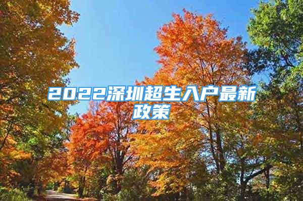 2022深圳超生入户最新政策