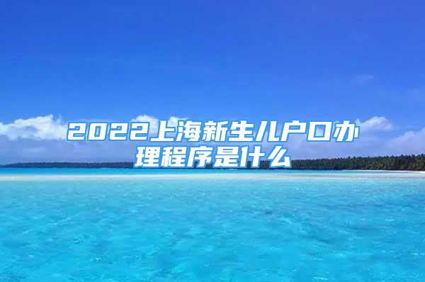 2022上海新生儿户口办理程序是什么