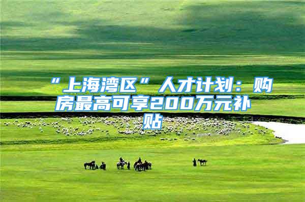 “上海湾区”人才计划：购房最高可享200万元补贴