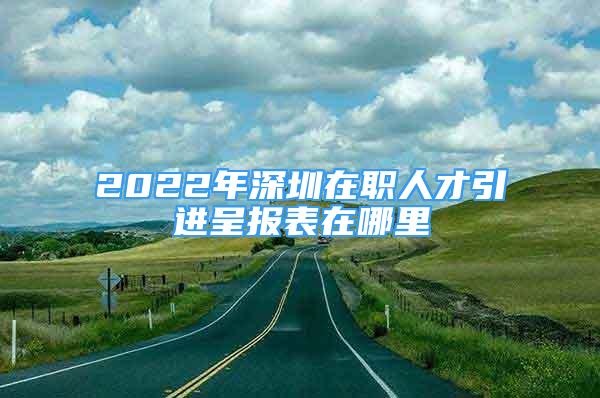 2022年深圳在职人才引进呈报表在哪里