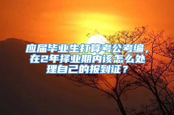 应届毕业生打算考公考编，在2年择业期内该怎么处理自己的报到证？