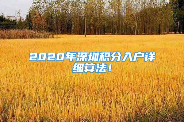 2020年深圳积分入户详细算法！