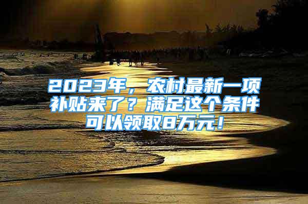 2023年，农村最新一项补贴来了？满足这个条件可以领取8万元！