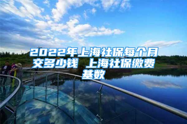 2022年上海社保每个月交多少钱 上海社保缴费基数