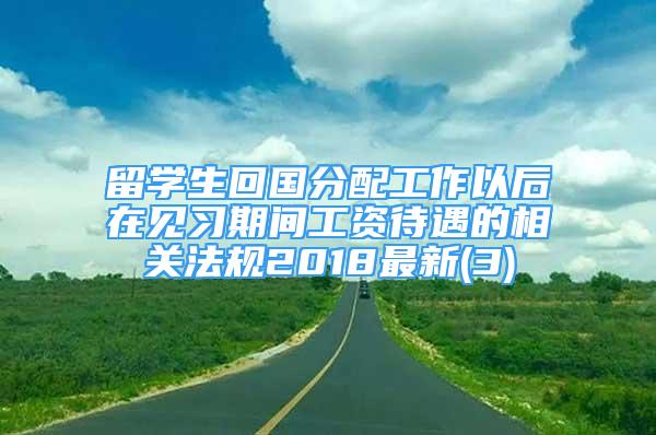 留学生回国分配工作以后在见习期间工资待遇的相关法规2018最新(3)