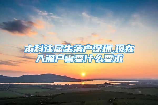 本科往届生落户深圳,现在入深户需要什么要求