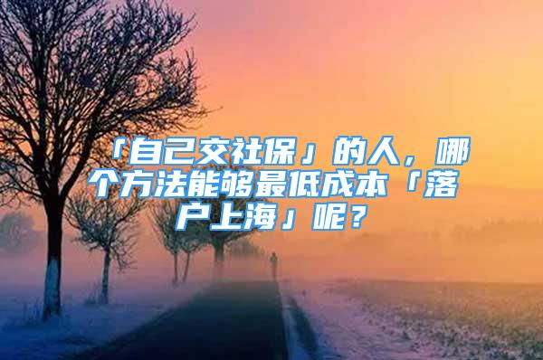 「自己交社保」的人，哪个方法能够最低成本「落户上海」呢？