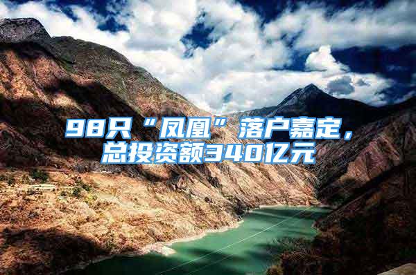 98只“凤凰”落户嘉定，总投资额340亿元