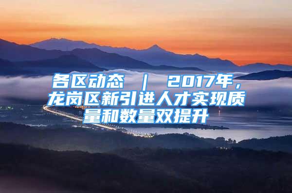 各区动态 ｜ 2017年，龙岗区新引进人才实现质量和数量双提升